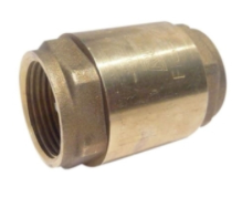 RW 232AB 1" IPS SPRING CHECK VALVE