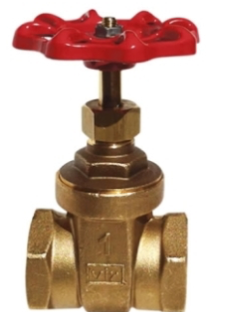 RW 206AB 1" IPS BRASS GATE VALVE