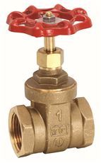 RW 5544AB 1" IPS RED HDL F/P BALL VALVE