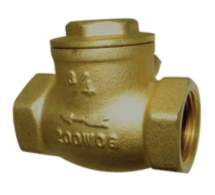 RW 246AB 3/4 IPS SWING CHECK VALVE